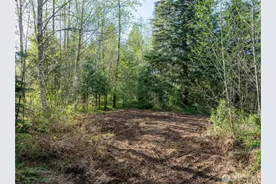 0 Davis Lake Road, Morton, WA 98356 - Photo 21