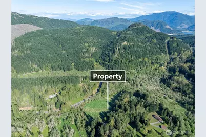 0 Davis Lake Road, Morton, WA 98356 - Photo 7