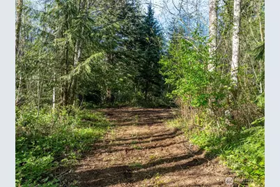 0 Davis Lake Road, Morton, WA 98356 - Photo 15