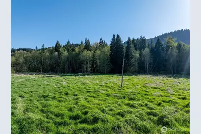 0 Davis Lake Road, Morton, WA 98356 - Photo 9