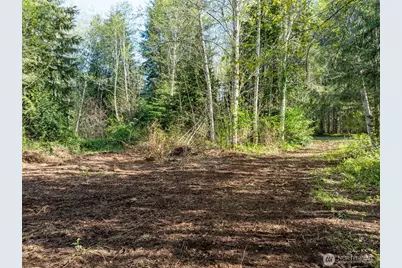 0 Davis Lake Road, Morton, WA 98356 - Photo 19