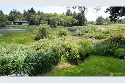 24004 Birch Place, Ocean Park, WA 98640 - Photo 7