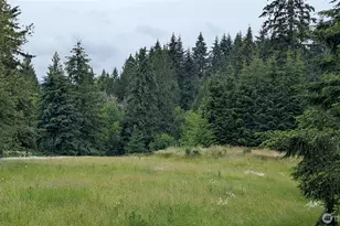 104 Sun Valley Dr, Chehalis, WA 98532 - Photo 17