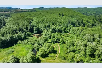 1904 North River Road, Cosmopolis, WA 98537 - Photo 29