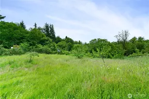 1904 N River Rd, Cosmopolis, WA 98537 - Photo 17