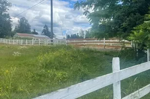 11800 148th Ave SE, Renton, WA 98059 - Photo 5