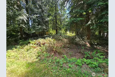 27703 NE 35th Street NE, Redmond, WA 98053 - Photo 15