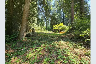 27703 NE 35th Street NE, Redmond, WA 98053 - Photo 13