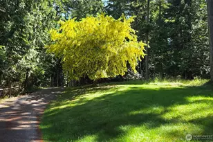 1311 Lopez Rd, Lopez Island, WA 98261 - Photo 25