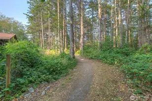 178 Lover's Ln, Orcas Island, WA 98245 - Photo 29
