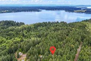 12912 90th Street Ct, Anderson Island, WA 98303 - Photo 39