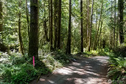 1781 E Sunset Hill Road, Shelton, WA 98584 - Photo 1