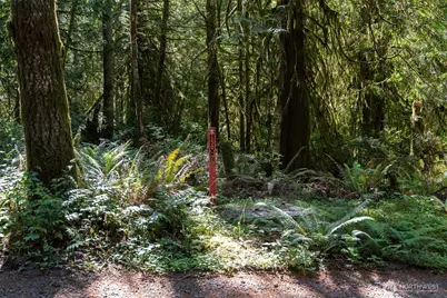 1781 E Sunset Hill Road, Shelton, WA 98584 - Photo 3