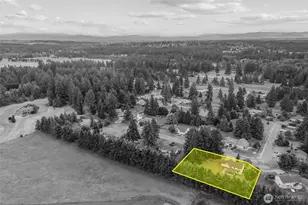 825 267th St Ct E, Spanaway, WA 98387 - Photo 37
