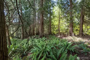 3614 141st St NW, Marysville, WA 98271 - Photo 37