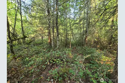 13849 Starflower Lane SE, Yelm, WA 98597 - Photo 13