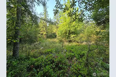 13849 Starflower Lane SE, Yelm, WA 98597 - Photo 7