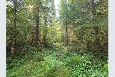 13849 Starflower Lane SE, Yelm, WA 98597 - Photo 9