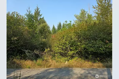 13849 Starflower Lane SE, Yelm, WA 98597 - Photo 1