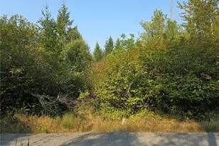 13849 Starflower Ln SE, Yelm, WA 98597 - Photo 1