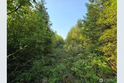 13849 Starflower Lane SE, Yelm, WA 98597 - Photo 5