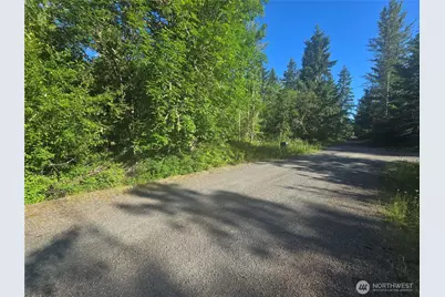 13823 Starflower Lane SE, Yelm, WA 98597 - Photo 3