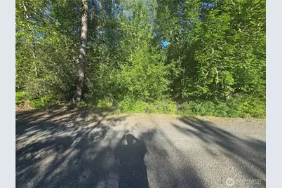 13823 Starflower Lane SE, Yelm, WA 98597 - Photo 1