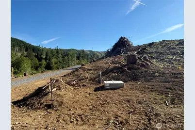 215 Mineral Road N, Mineral, WA 98355 - Photo 7