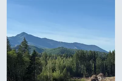 215 Mineral Road N, Mineral, WA 98355 - Photo 27