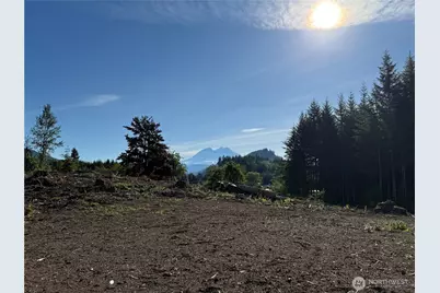 215 Mineral Road N, Mineral, WA 98355 - Photo 11