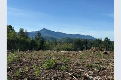 215 Mineral Road N, Mineral, WA 98355 - Photo 19