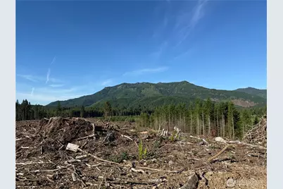 215 Mineral Road N, Mineral, WA 98355 - Photo 13