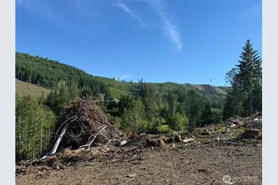 215 Mineral Road N, Mineral, WA 98355 - Photo 25