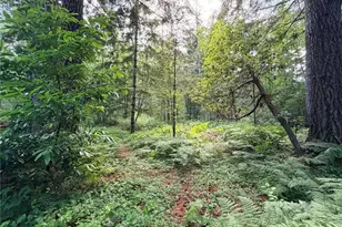 5445 SW County Line Rd, Port Orchard, WA 98367 - Photo 13