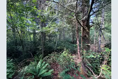 5445 SW County Line Road, Port Orchard, WA 98367 - Photo 17