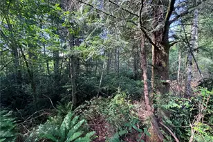 5445 SW County Line Rd, Port Orchard, WA 98367 - Photo 17