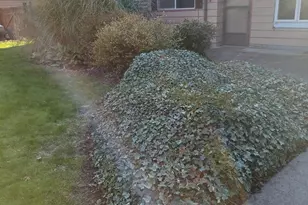 401 S Gardner, Burlington, WA 98233 - Photo 1