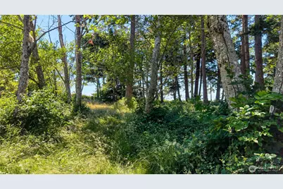 297 Marine Drive, Point Roberts, WA 98281 - Photo 7