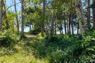 297 Marine Dr, Point Roberts, WA 98281 - Photo 7
