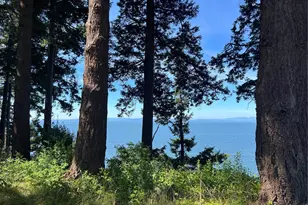 297 Marine Dr, Point Roberts, WA 98281 - Photo 19