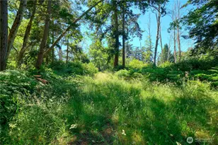297 Marine Dr, Point Roberts, WA 98281 - Photo 29