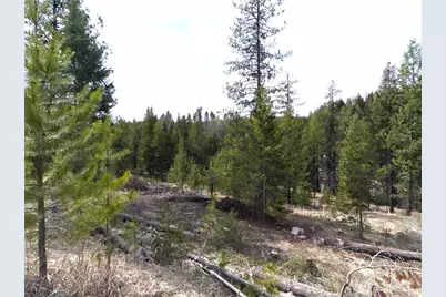 37 Gardner Creek Road, Republic, WA 99166 - Photo 17