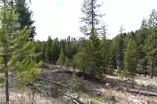 37 Gardner Creek Rd, Republic, WA 99166 - Photo 17