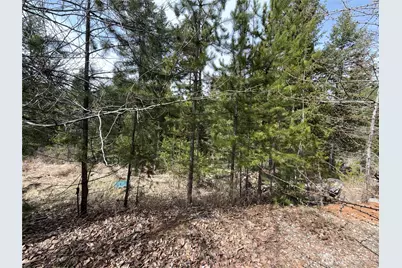 37 Gardner Creek Road, Republic, WA 99166 - Photo 19