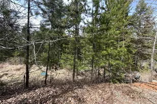 37 Gardner Creek Rd, Republic, WA 99166 - Photo 19