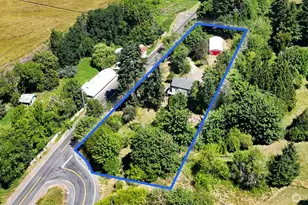1313 Ferrier Rd, Winlock, WA 98596 - Photo 3