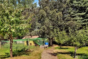 3825 Cabrant Rd, Everson, WA 98247 - Photo 9