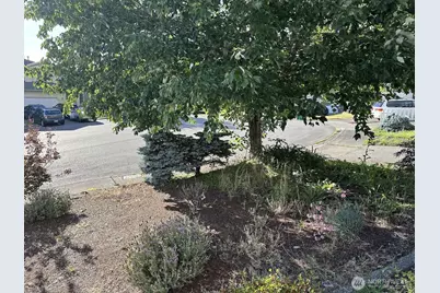 31590 115th Avenue SE, Auburn, WA 98092 - Photo 31