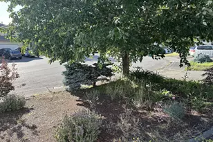 31590 115th Ave SE, Auburn, WA 98092 - Photo 31