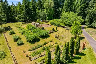 11500 Weisenberger Road SE, Rainier, WA 98576 - Photo 3